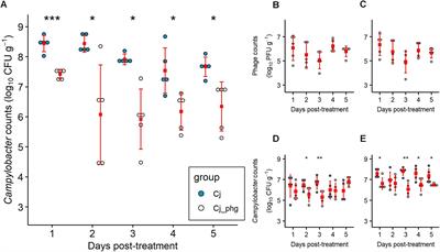 Phage Biocontrol of Campylobacter jejuni in Chickens Does Not Produce Collateral Effects on the Gut Microbiota